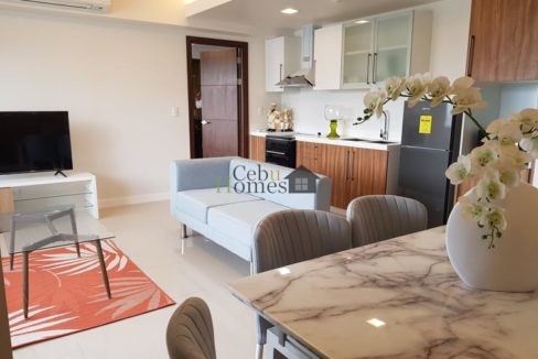 245688622_4874751699225652_1471551849316298290_n