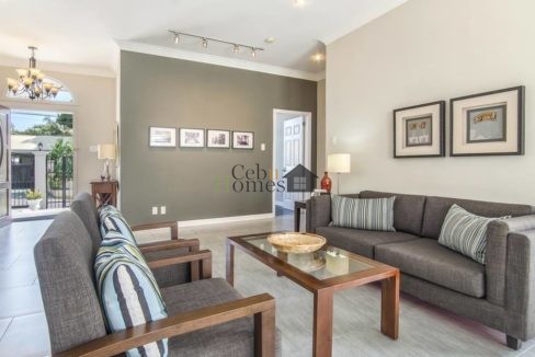 53034482_395956184303540_5068657043934543872_o