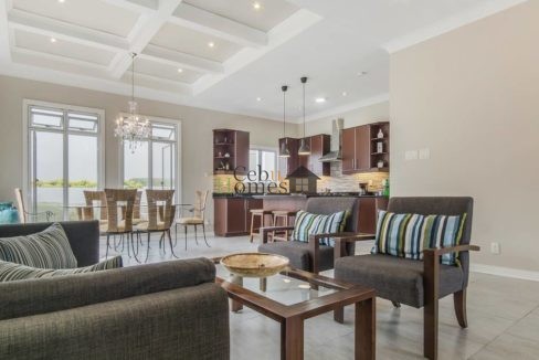 53196621_395956067636885_8508853490716508160_o