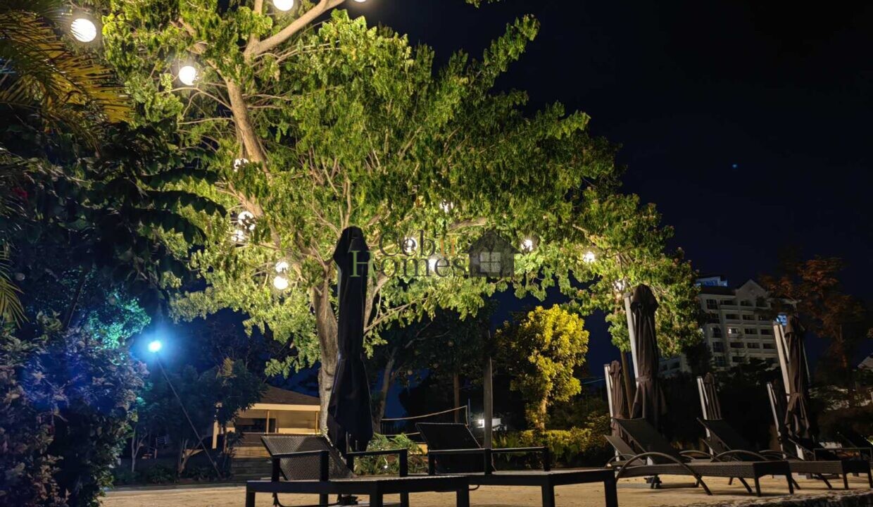 viber_image_2022-10-27_14-06-36-224