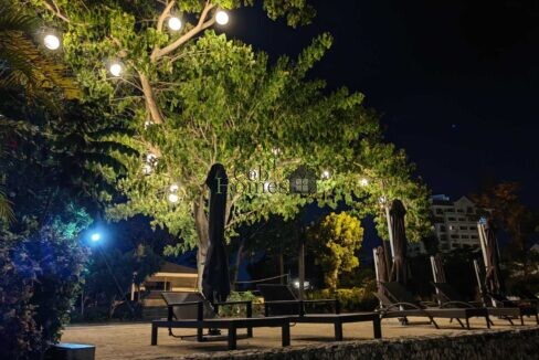 viber_image_2022-10-27_14-06-36-224