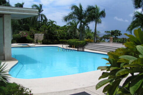 MINOLTA DIGITAL CAMERA