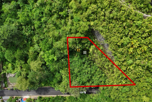 DJI_20241218121820_0006_D